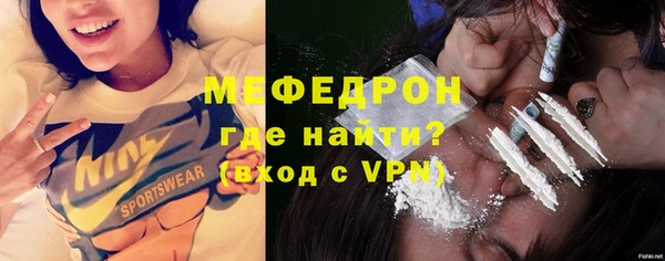 индика Абаза