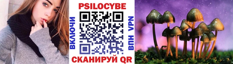 Галлюциногенные грибы Psilocybe  darknet официальный сайт  Ясный 